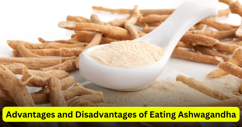 Advantages and Disadvantages of Eating Ashwagandha