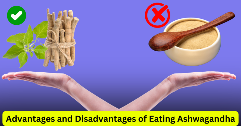 Advantages and Disadvantages of Eating Ashwagandha