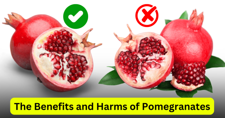 The Benefits and Harms of Pomegranates