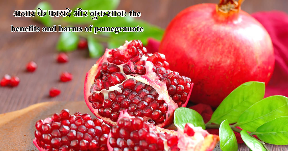 अनार के फायदे और नुकसान: the benefits and harms of pomegranate