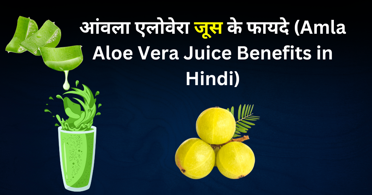 आंवला एलोवेरा जूस के फायदे (Amla Aloe Vera Juice Benefits in Hindi)